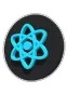 reactjsicon